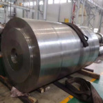 FORGED PLUNGER (14)